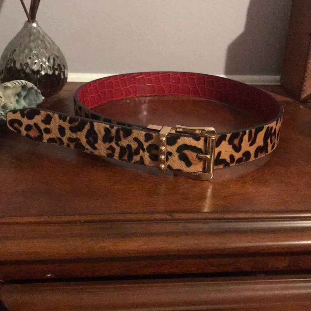 Reversible Guess belt